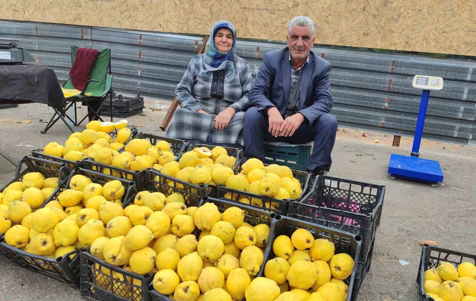 Kendi bah&ccedil;esinde yetiştirdikleri ayvaları satarak 7 &ccedil;ocuk okuttular
