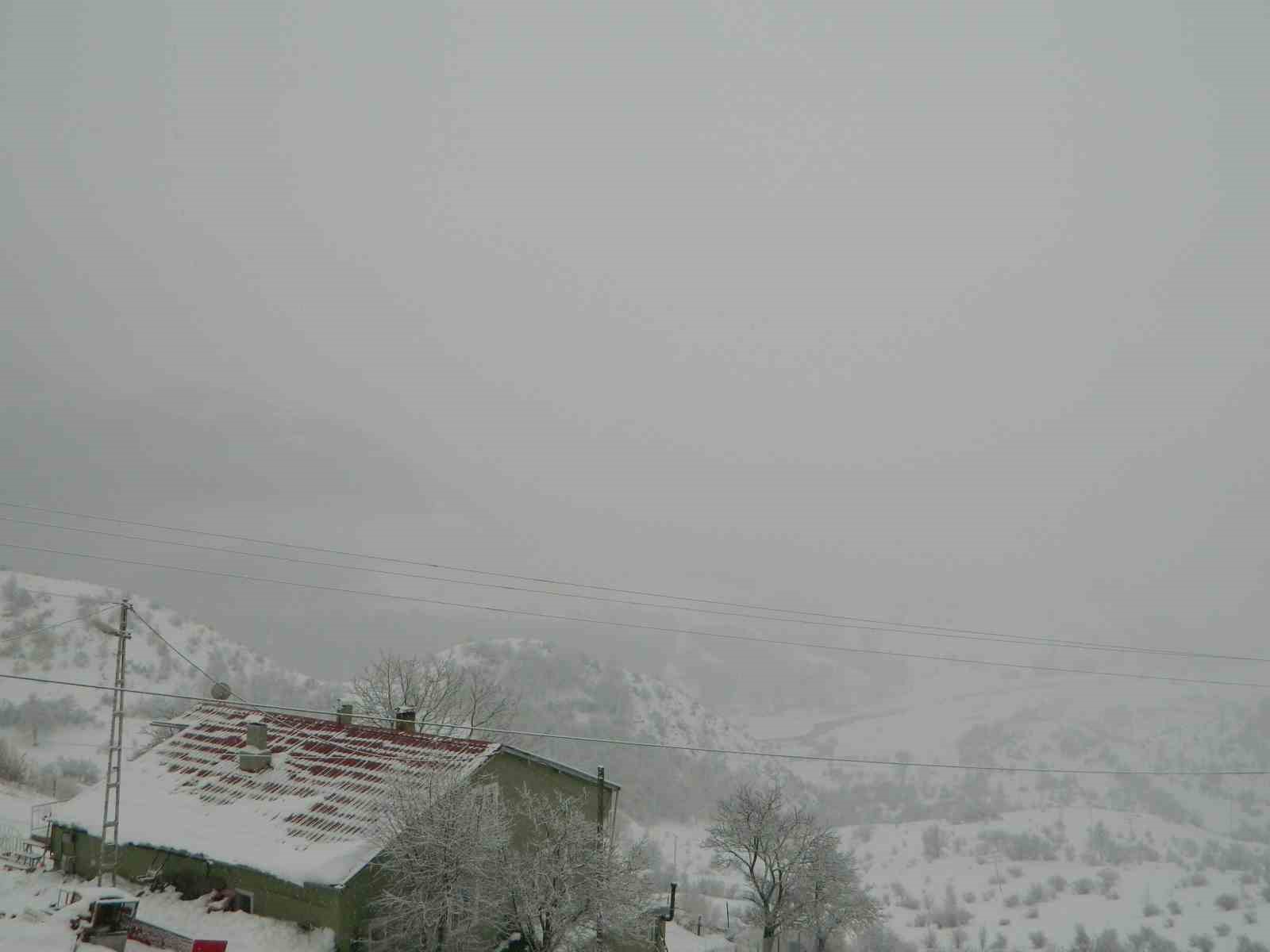 Posof&rsquo;ta yoğun kar ve sis etkili oluyor
