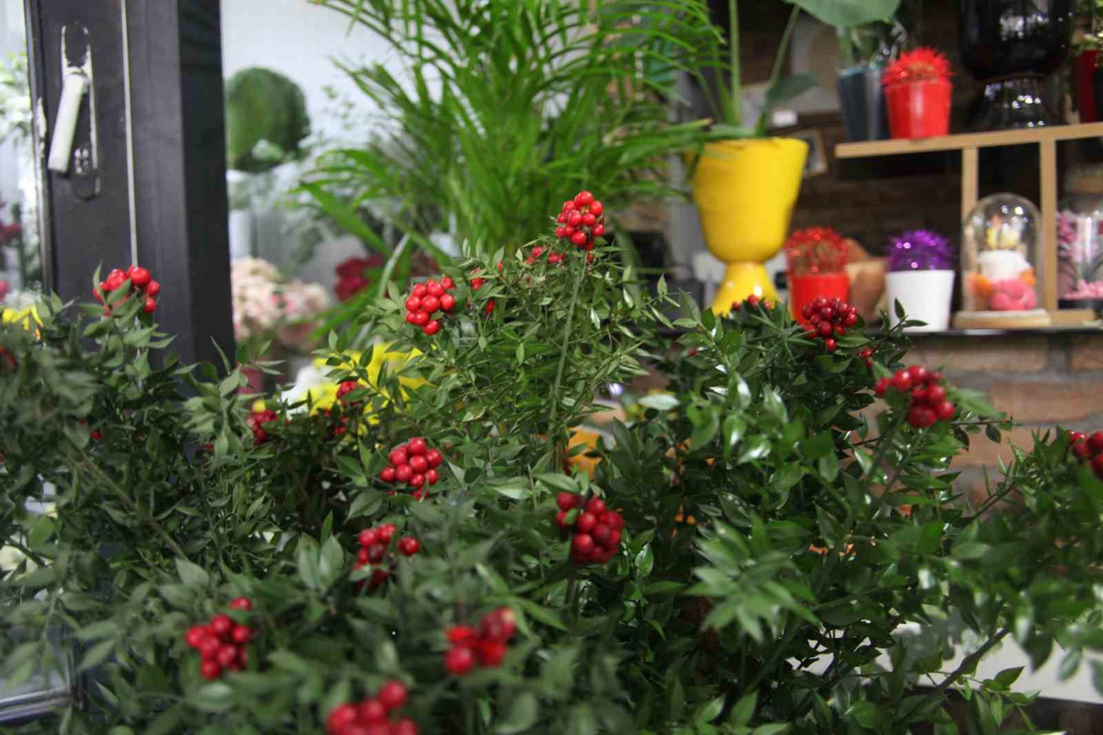 Konya’da çiçekçilerde ’kokina’ hazırlığı