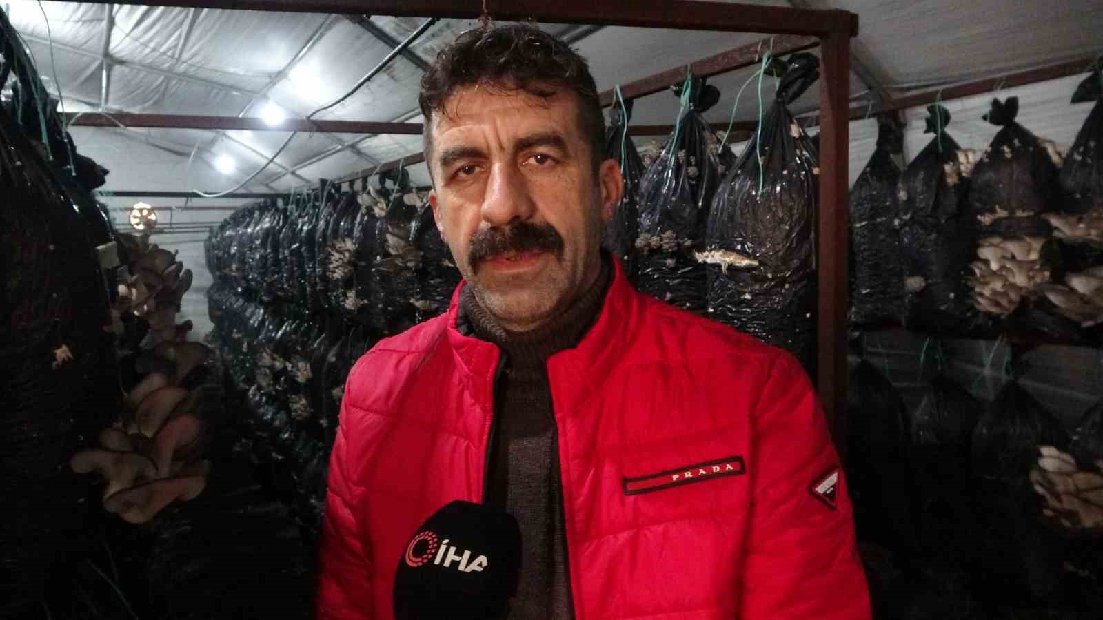 Malatyalı girişimci, serasında ayda 6 ton istiridye mantarı &uuml;retiyor
