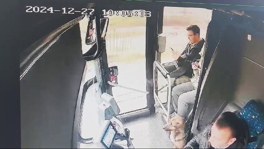 Yağmurdan ka&ccedil;an k&ouml;pek &ccedil;areyi otob&uuml;se sığınmakta buldu
