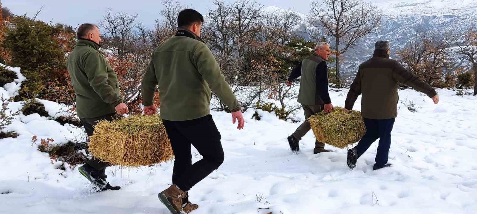 Elazığ’da yaban hayvanları için doğaya yem bırakıldı