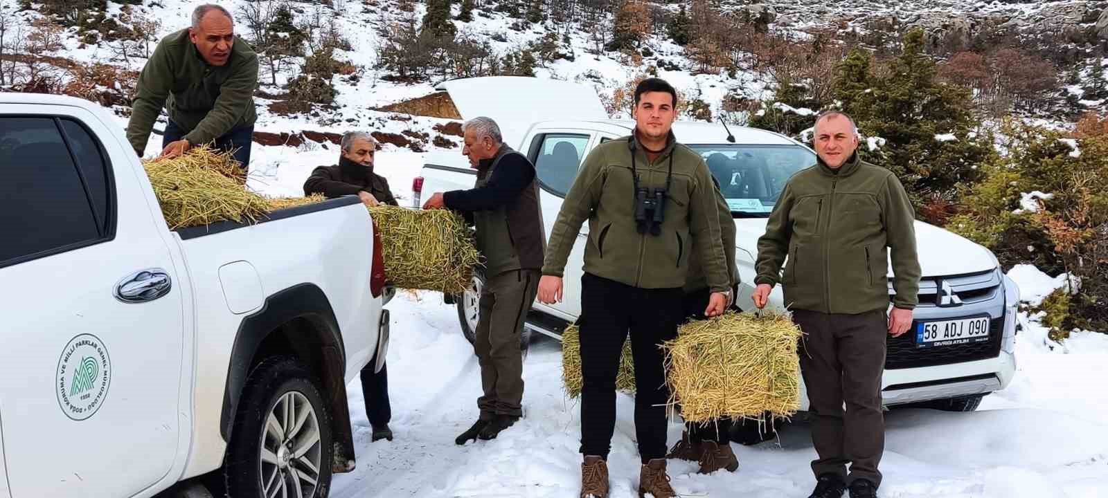 Elazığ’da yaban hayvanları için doğaya yem bırakıldı
