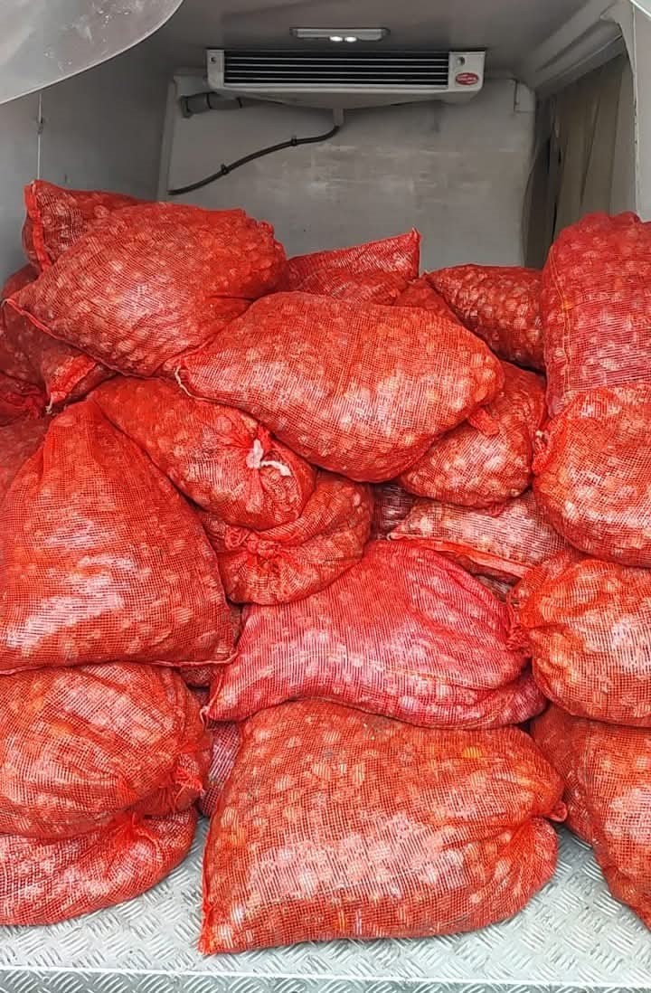 Yurt dışına kum midyesi ka&ccedil;ırmaya &ccedil;alışan 46 kişiye 11 milyon lira ceza
