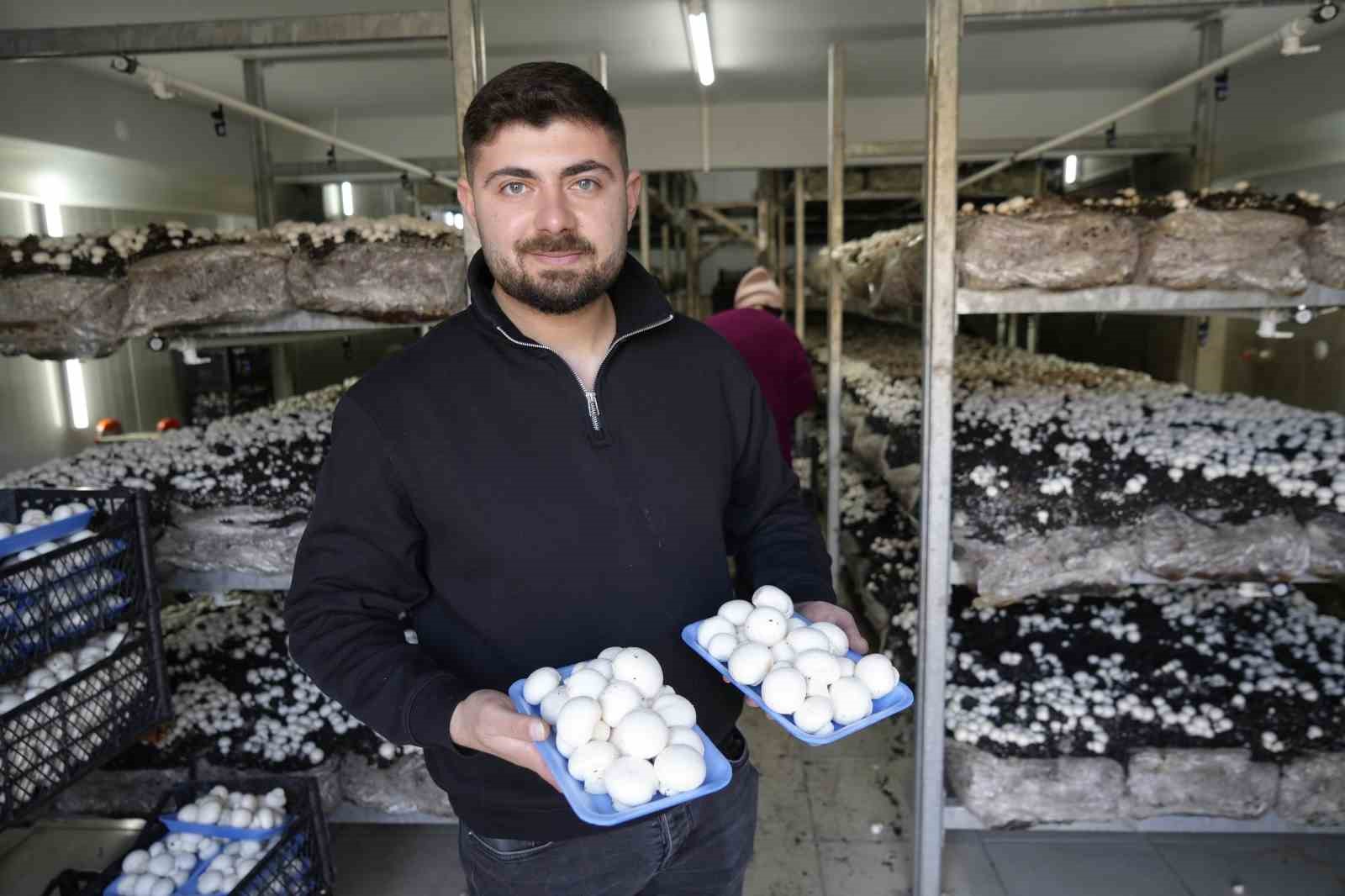 Gümüşhane’de genç girişimci mantar üretim tesisiyle kentin mantar ihtiyacını karşılıyor
