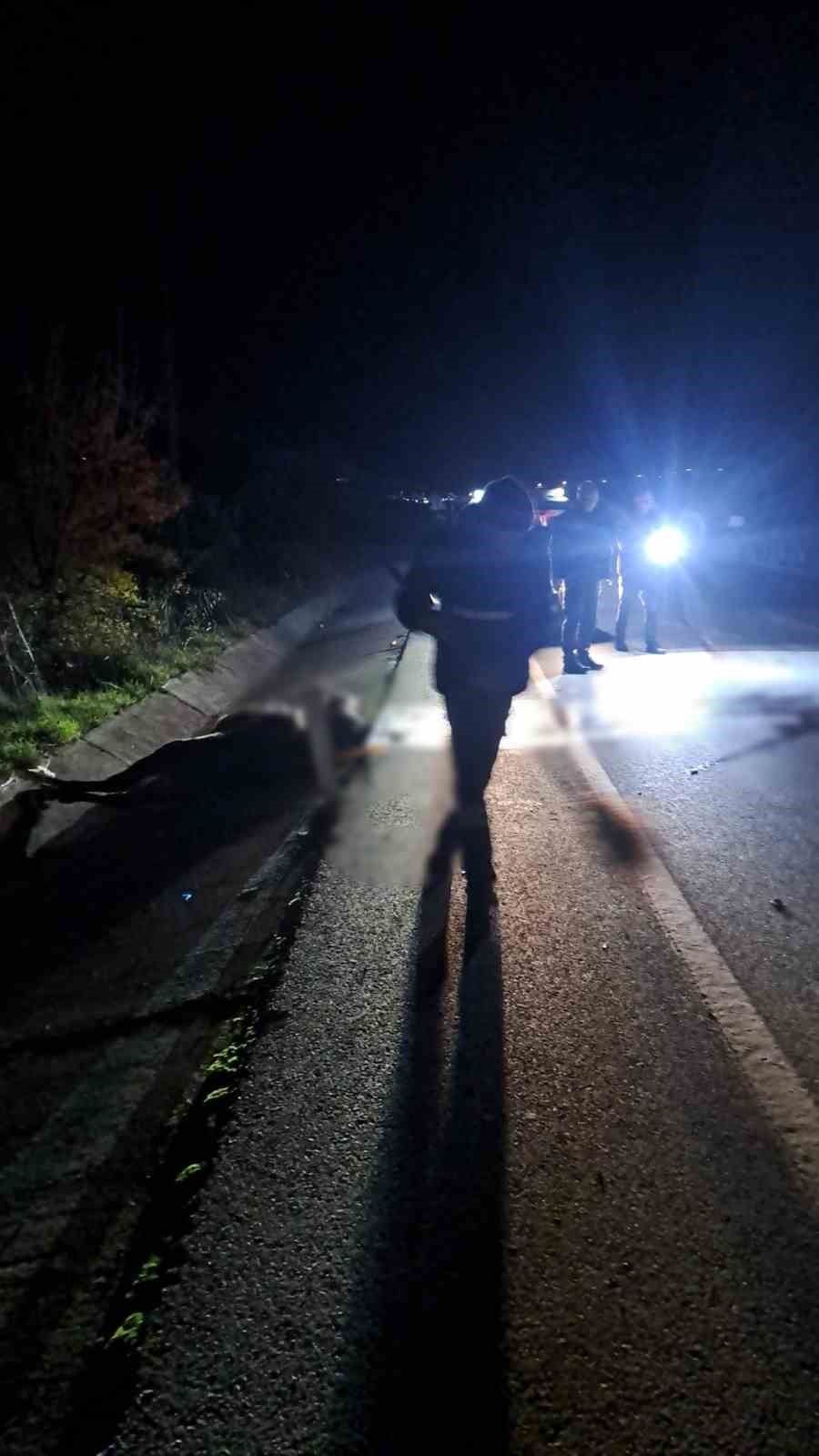 Ata çarpan motosiklet sürücüsü hayatını kaybetti
