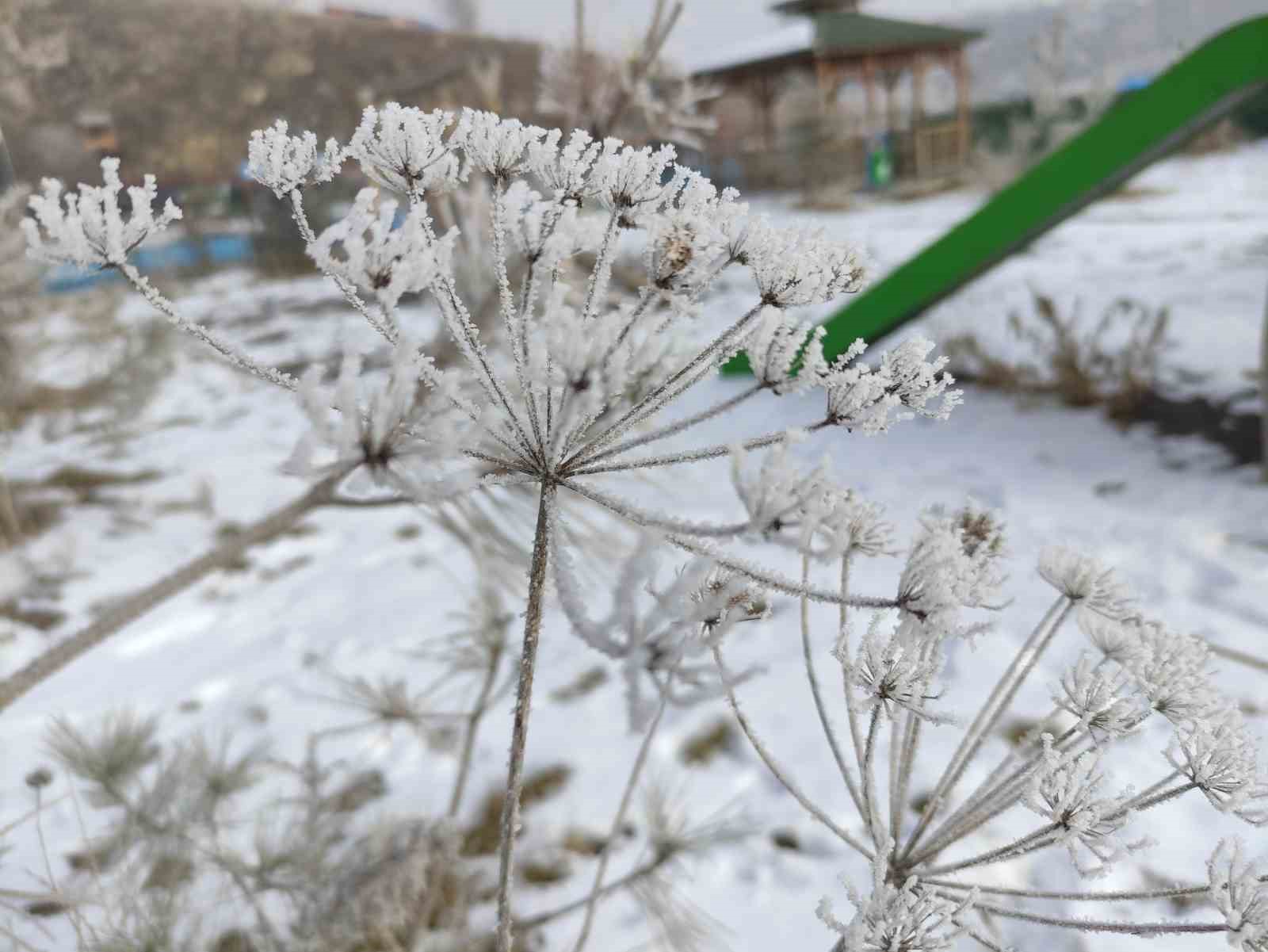 Ardahan&rsquo;da Sibirya soğukları

