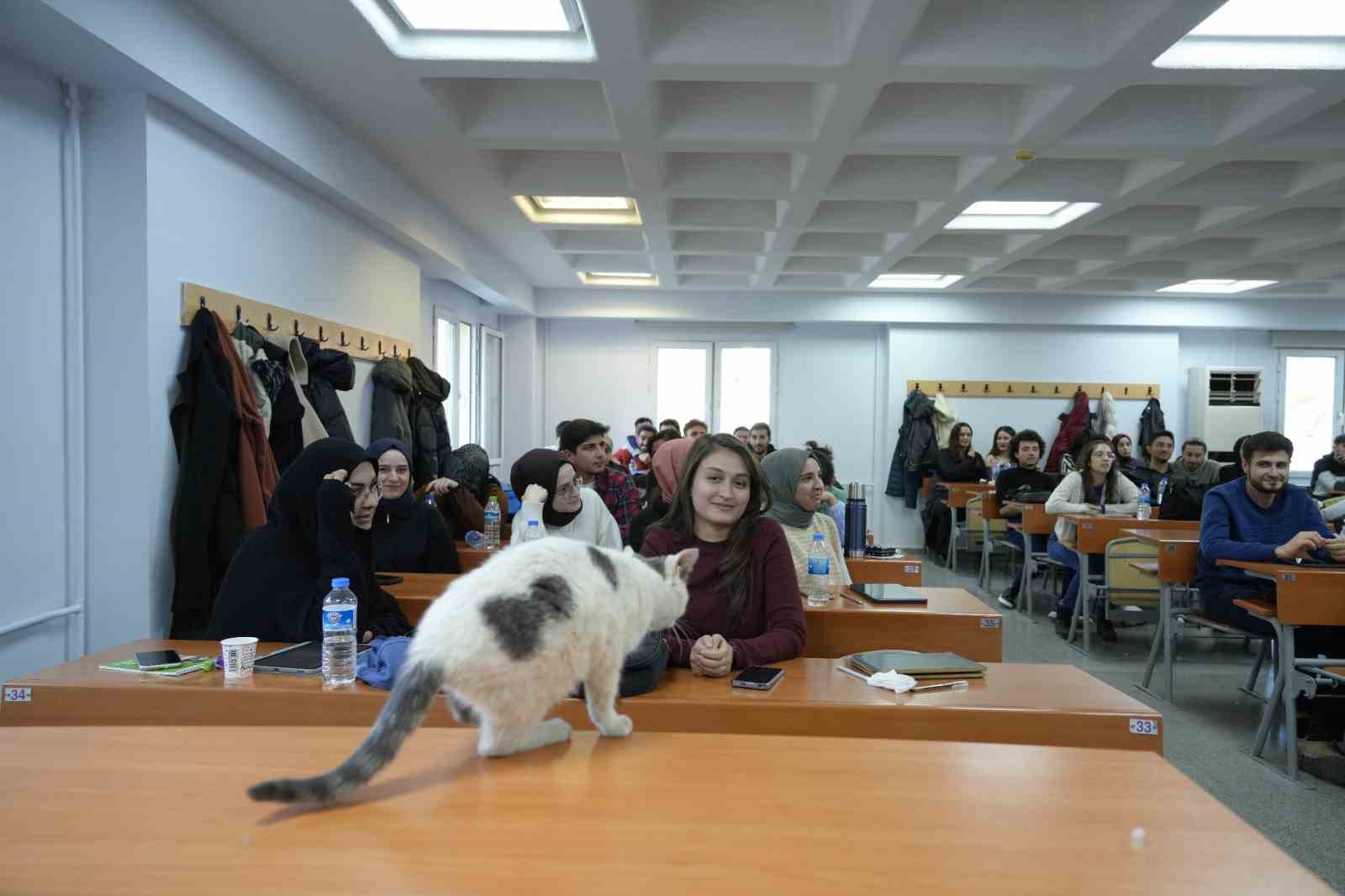 ‘Labne’ fakültede öğrencilerle derslere giriyor