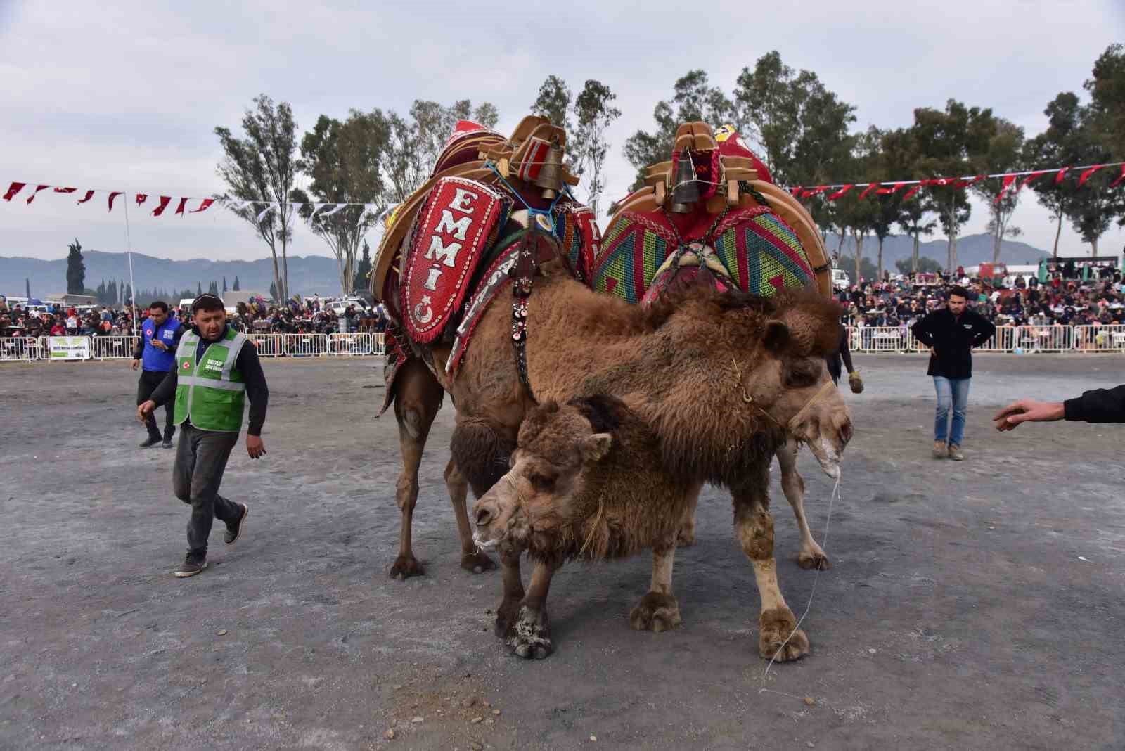 Başkan Kaya’dan yılın ilk deve güreşine davet