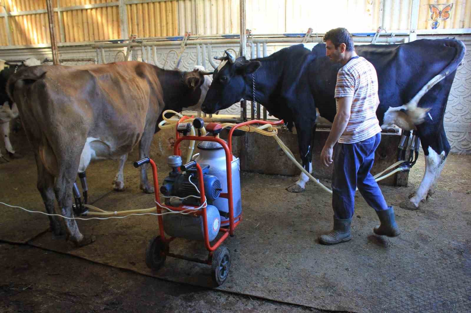 Çiğ süt 17,15 lira oldu, birlikler belirsizlikleri çözmeye çalışıyor

