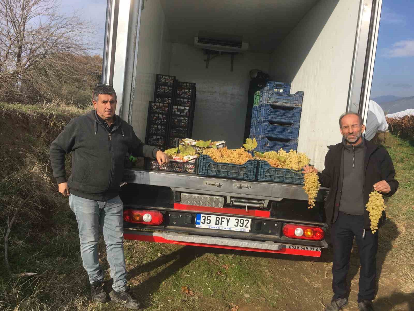 Manisa’da 6 aydır üzüm hasadı devam ediyor
