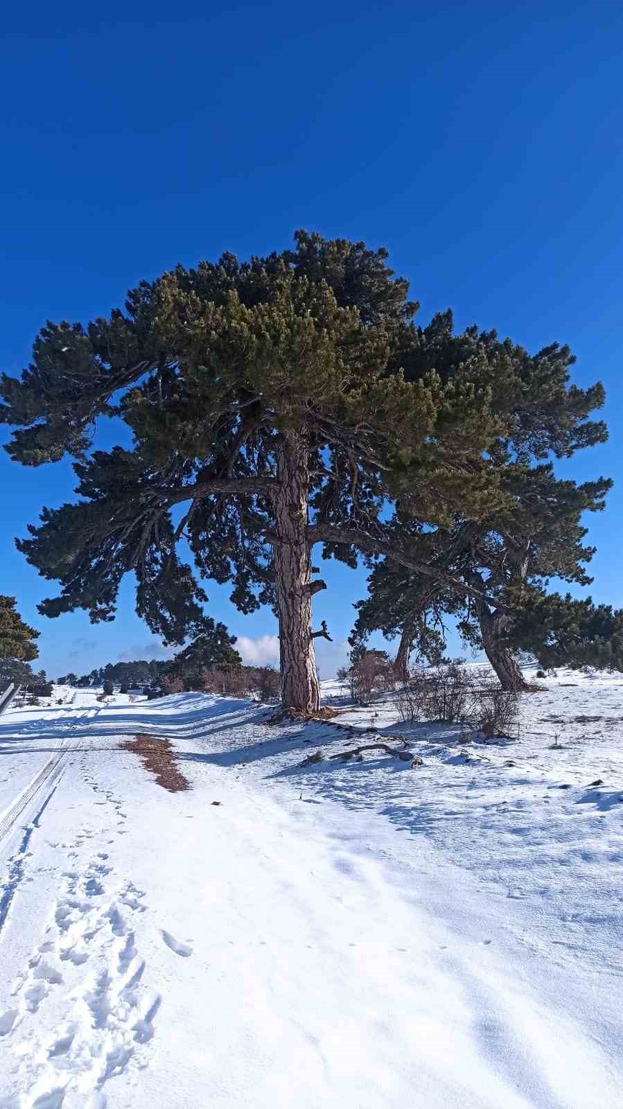 Kırka Mahallesi beyaza büründü