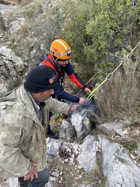 Burdur’da dağlık alanda mahsur kalan keçi kurtarıldı
