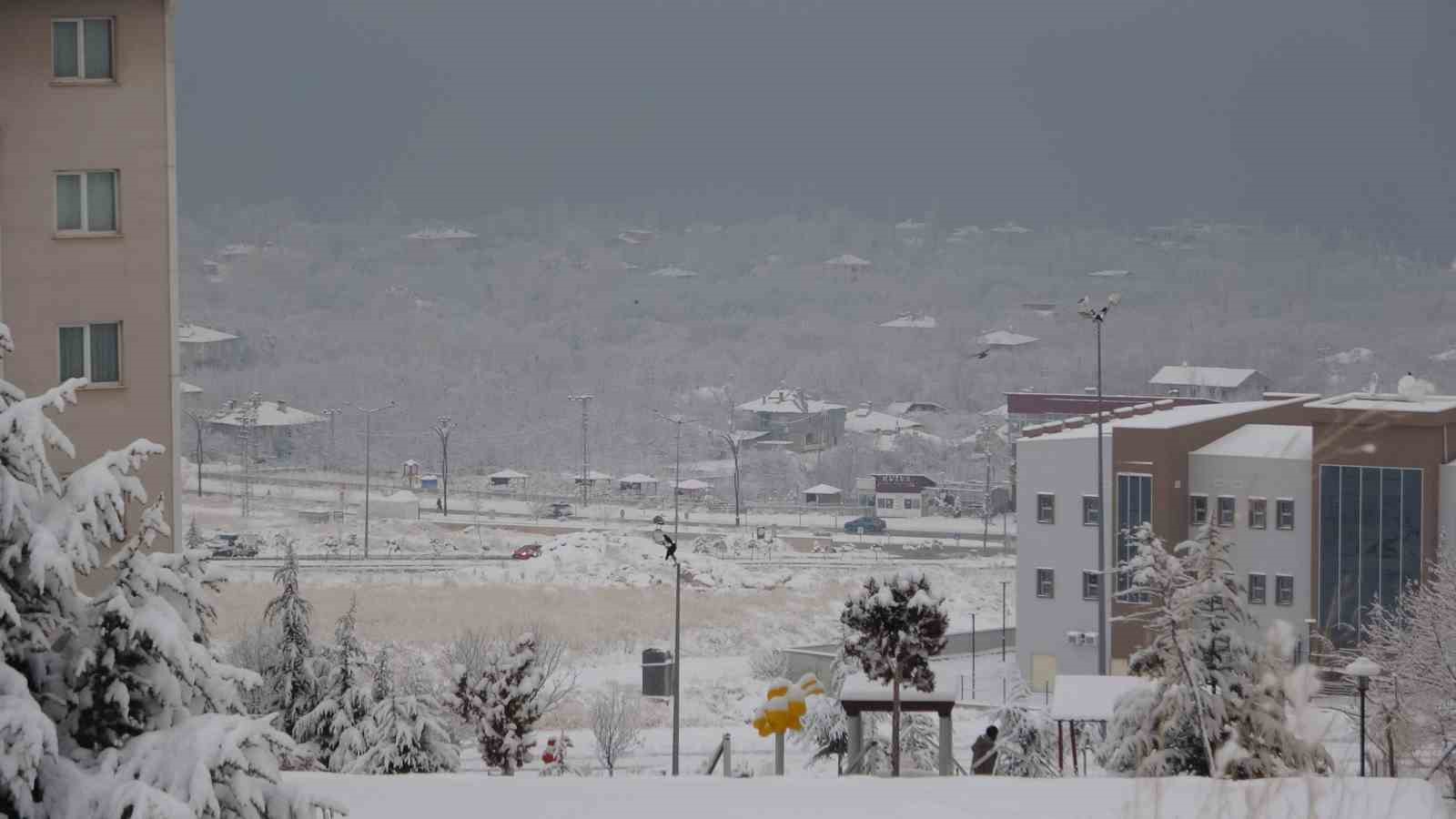 Van’da kar yağışı hayatı olumsuz etkiledi
