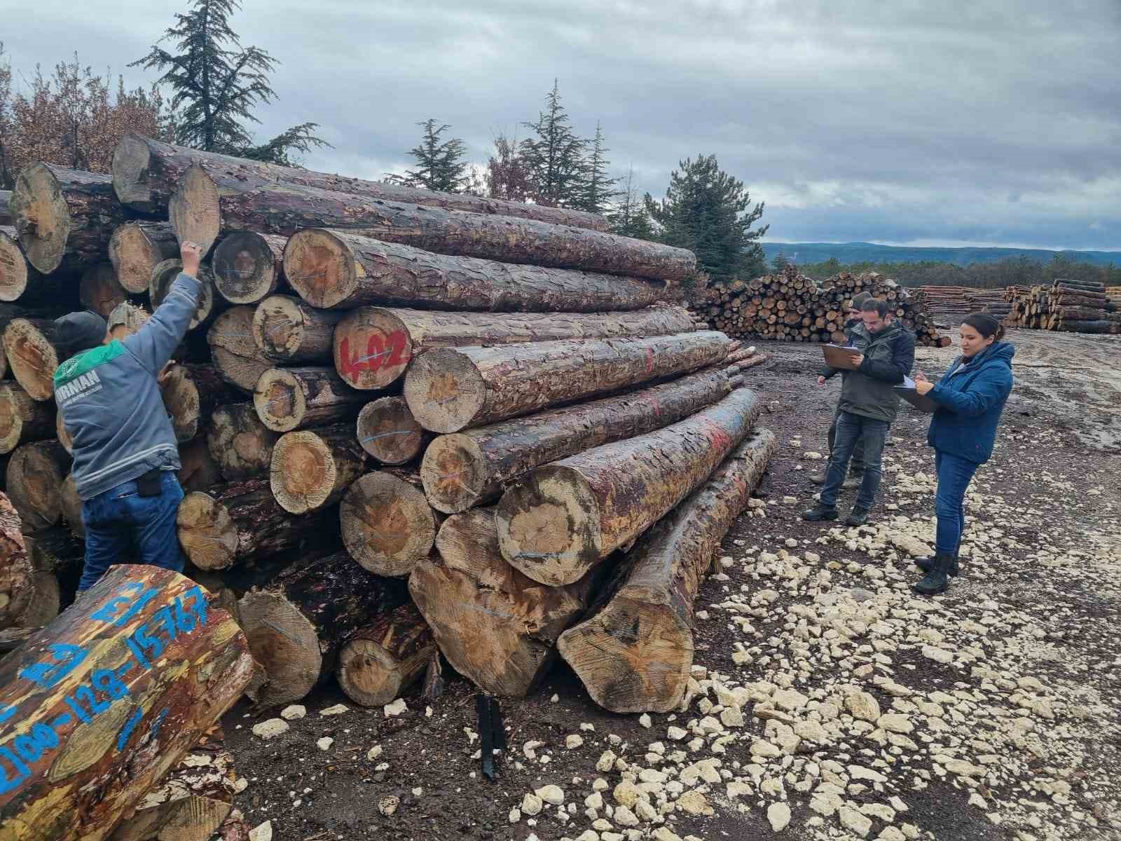 Kütahya’da orman emvallerinin yıl sonu sayımları yapıldı