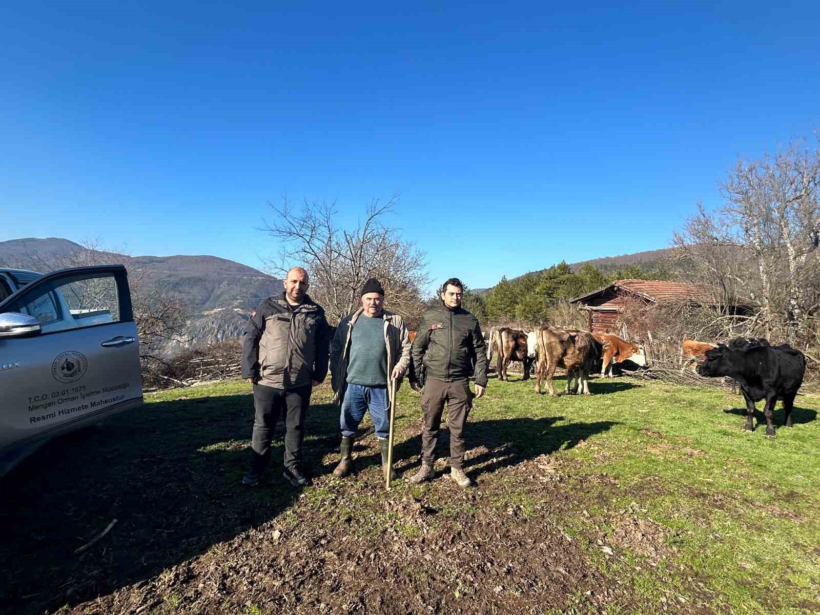 4 gündür kayıp olan büyükbaş hayvanlar dronla bulundu