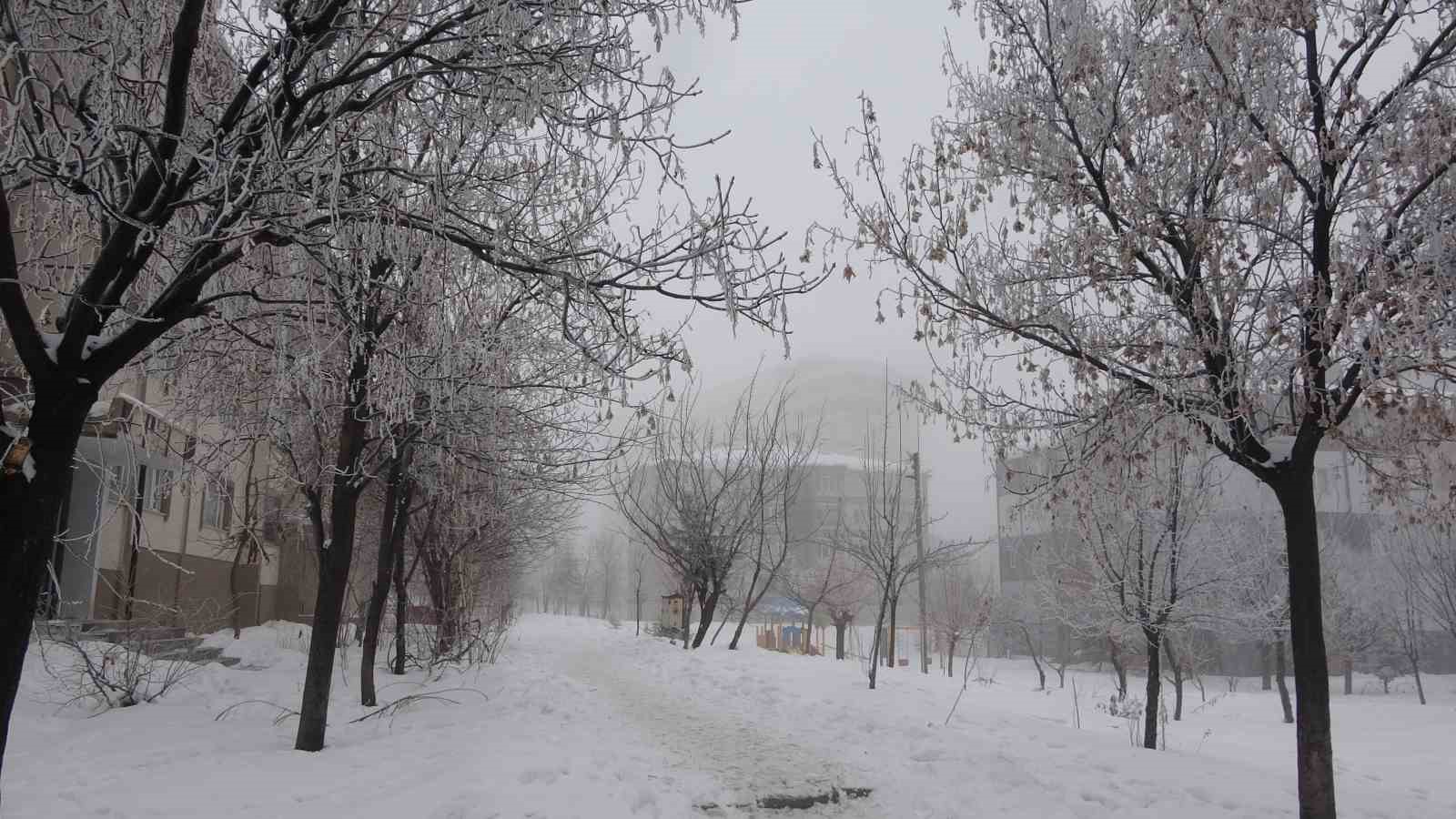 Bitlis’te sis ve dondurucu soğuklar
