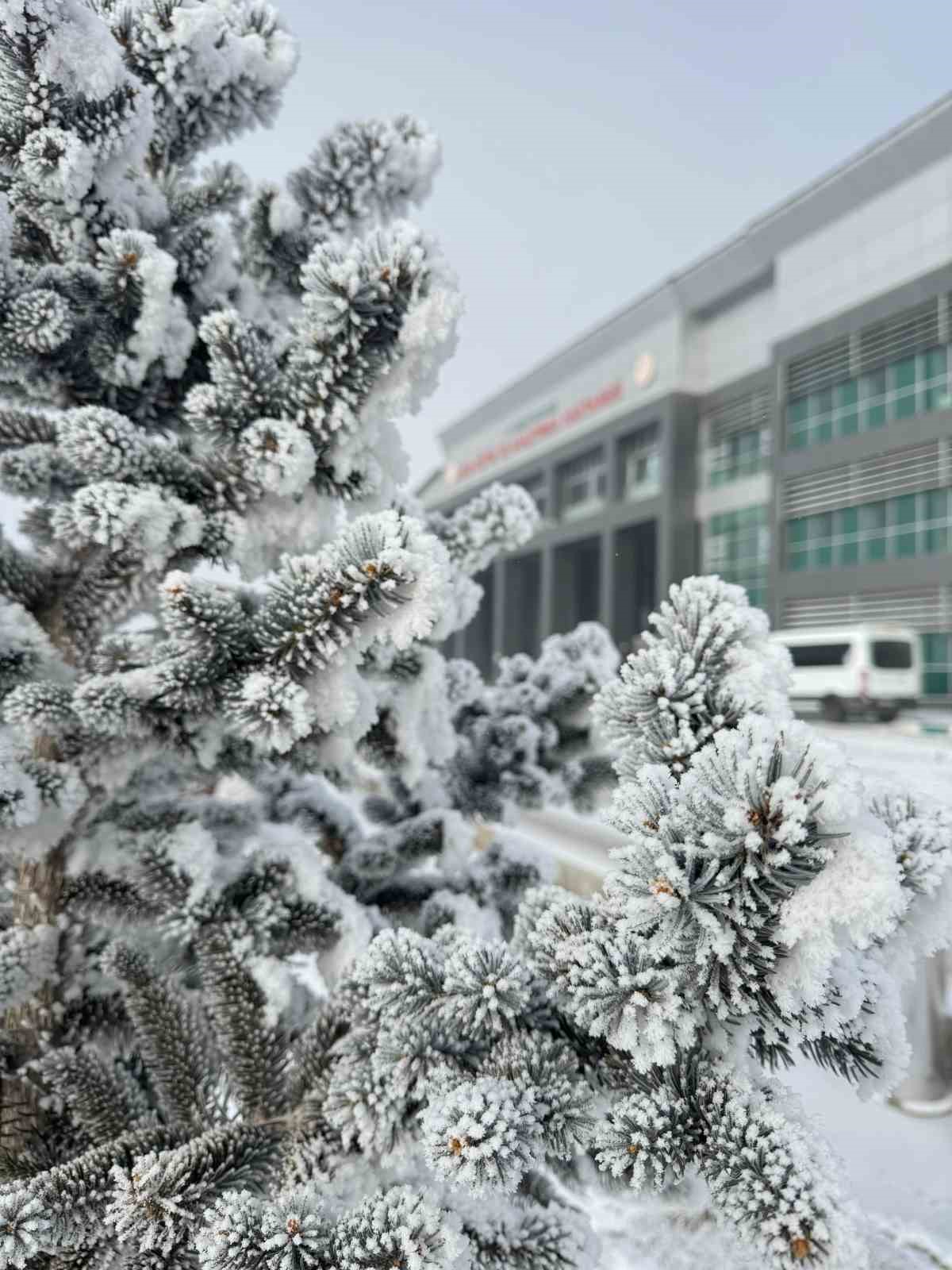 Ağrı’da dondurucu soğuklar hayatı olumsuz etkiliyor
