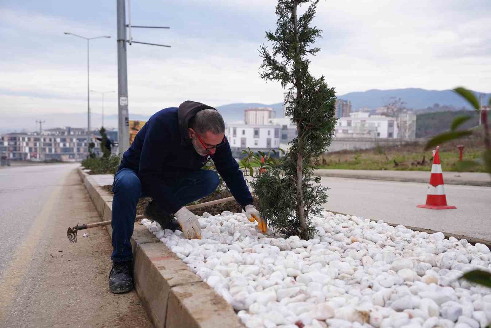 Kampüse çıkan caddelerde estetik düzenleme
