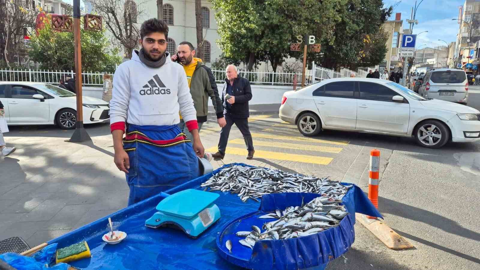 Tekirdağ’da hamsi ve istavrit 100 lira