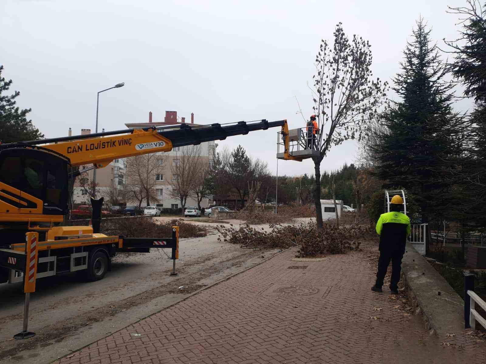 Odunpazarı’nda ağaç bakımları sürüyor