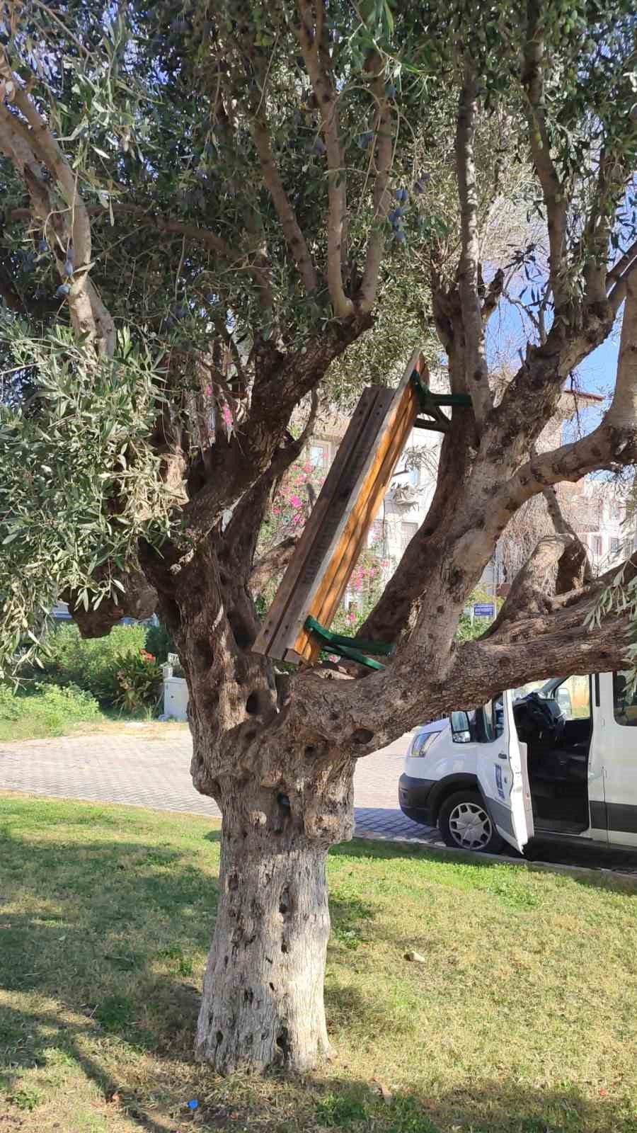 Kuşadası’nda kamusal alanları tahrip eden şahıslar cezasız kalmadı
