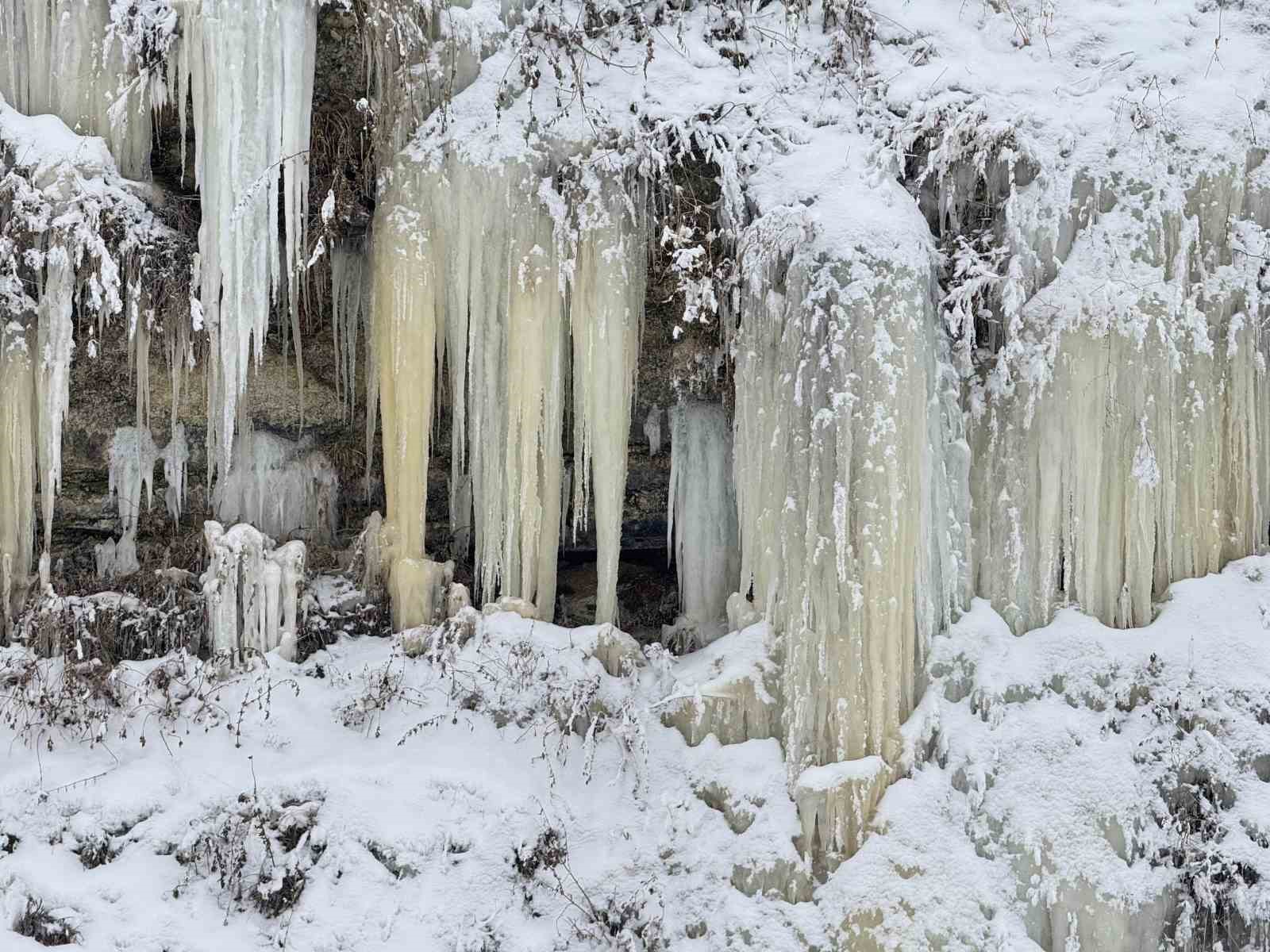 Ağrı eksi 18 derece ile dondu