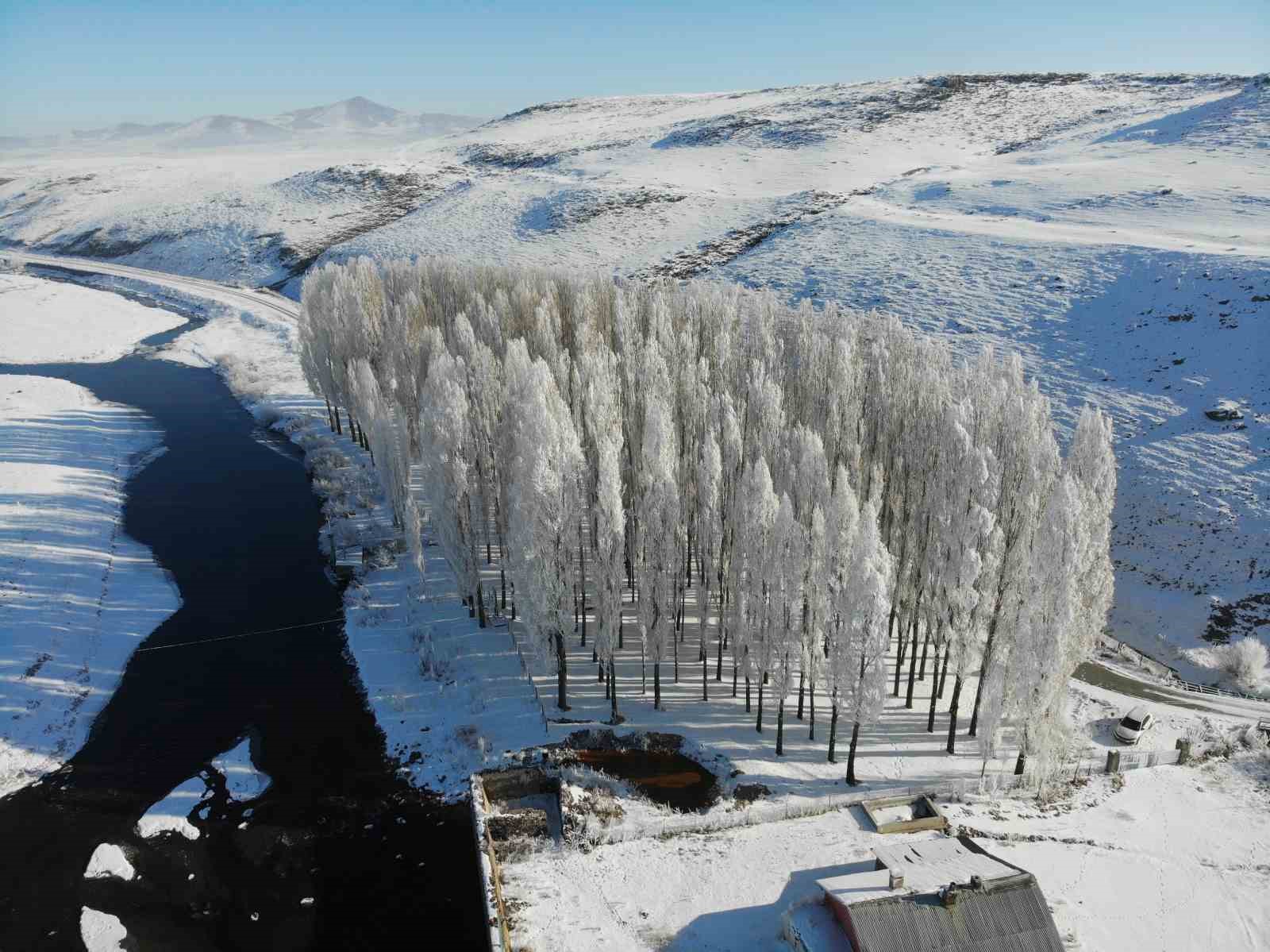 Kars dondu, ağaçlar kırağı tuttu
