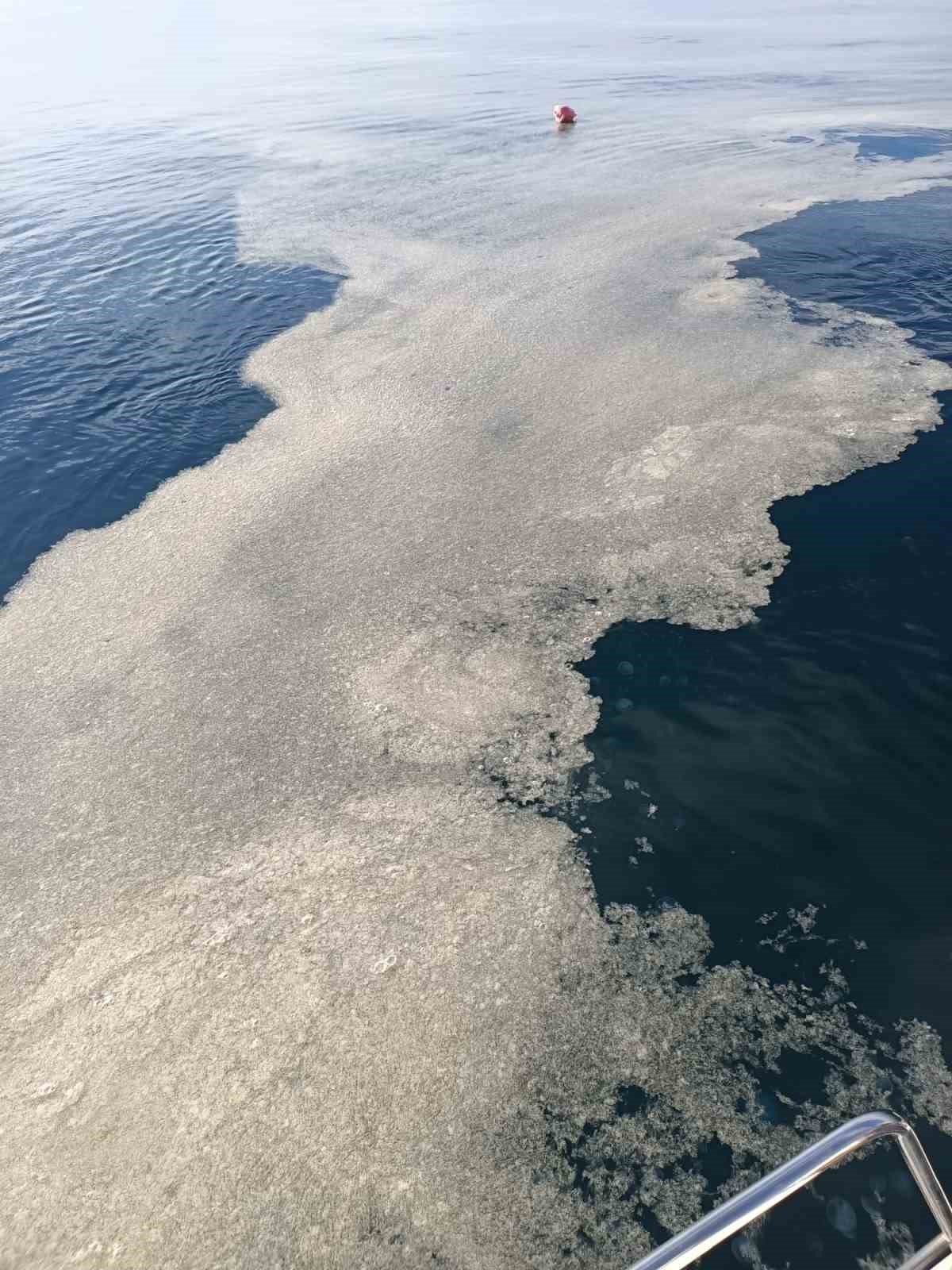 Çanakkale Boğazı’nda müsilaj devam ediyor
