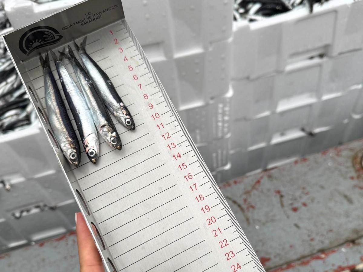 Kırklareli&rsquo;nde balık&ccedil;ılar denetlendi
