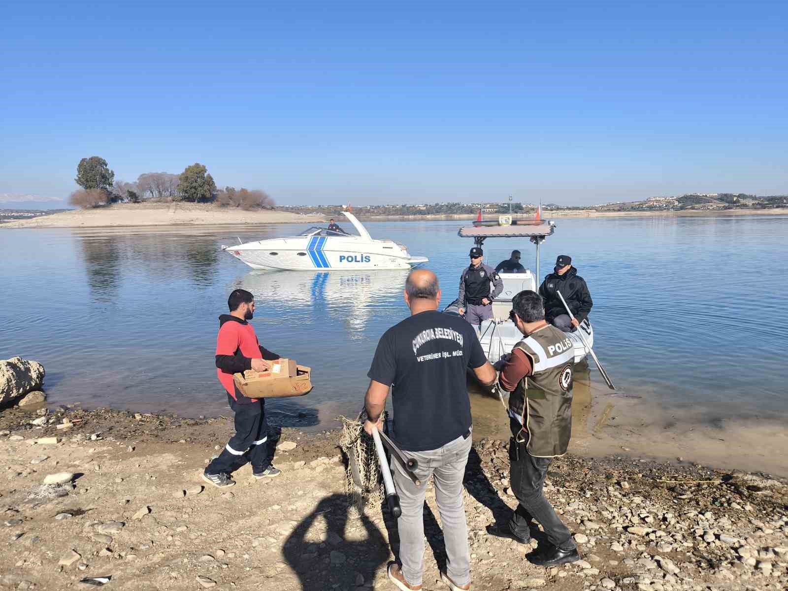 Gölde su yükseldi, mahsur kalan yavru köpekleri polis kurtardı
