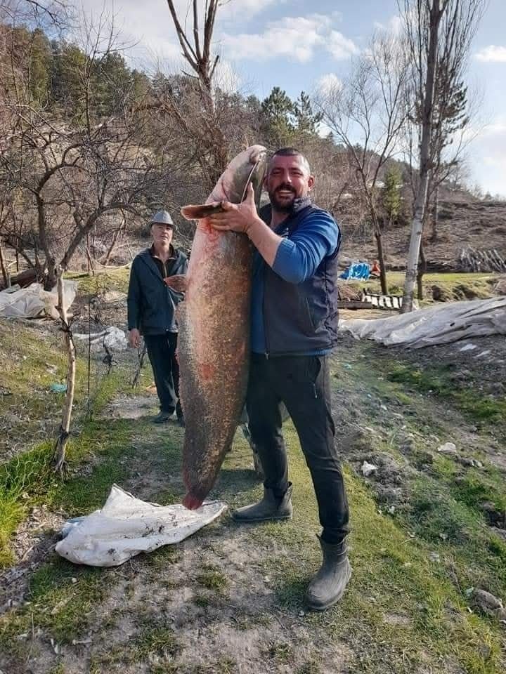 Burdur’da gölde tutulan dev yayın balığı görenleri şaşırttı
