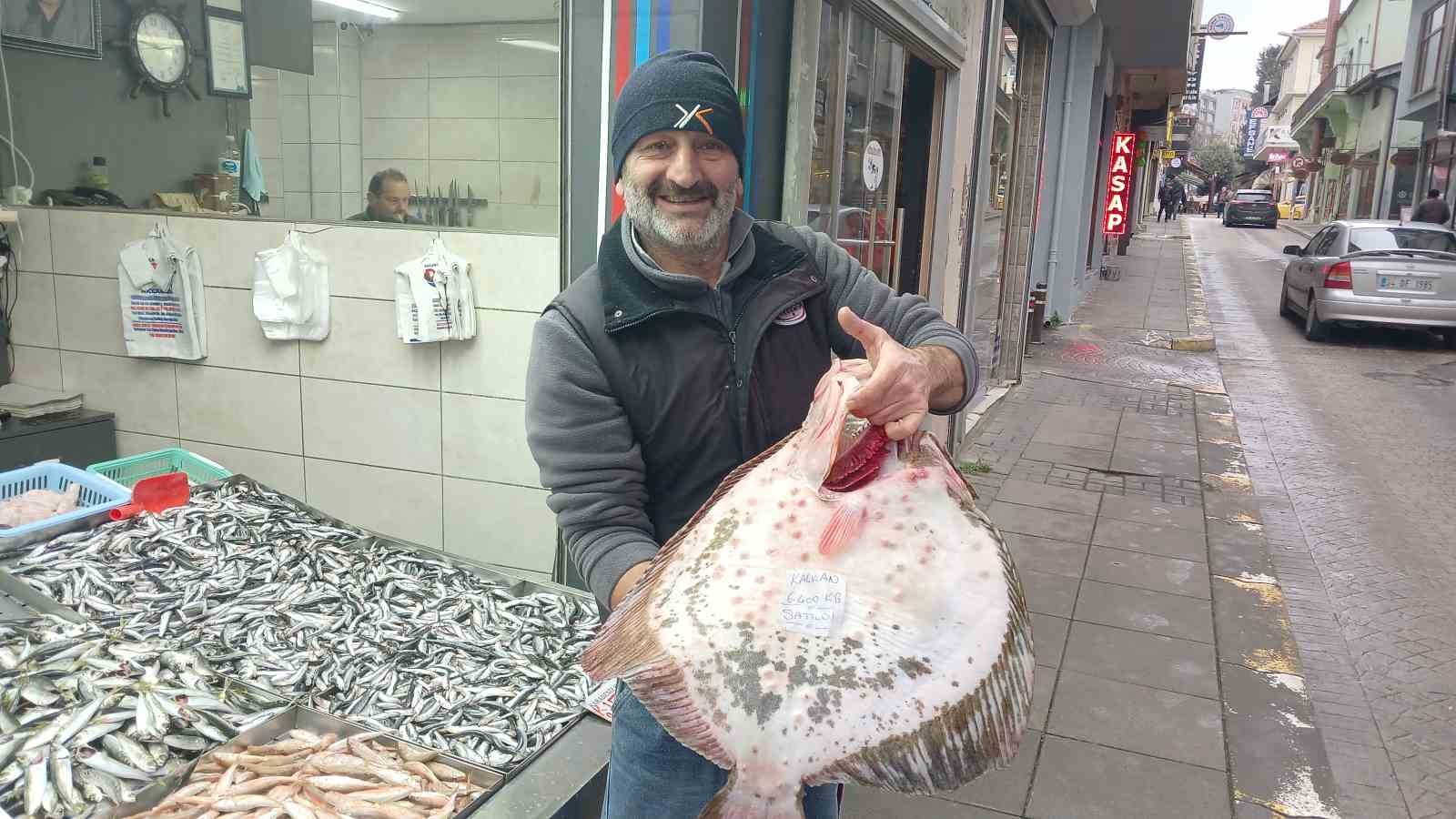 Balık tezgahının gözdesi kalkan ve kırlangıç oldu
