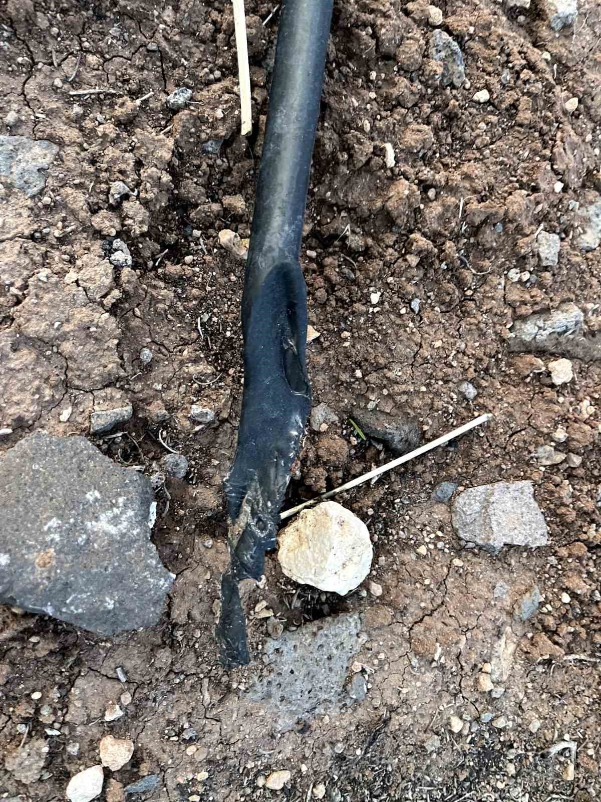 Lavanta bahçesine kilit vuruldu