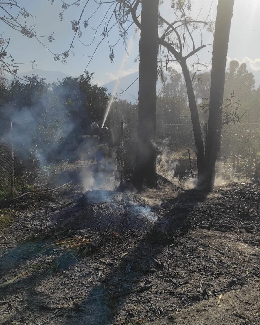 Arsuz&rsquo;da &ccedil;ıkan otluk yangınını itfaiye s&ouml;nd&uuml;rd&uuml;
