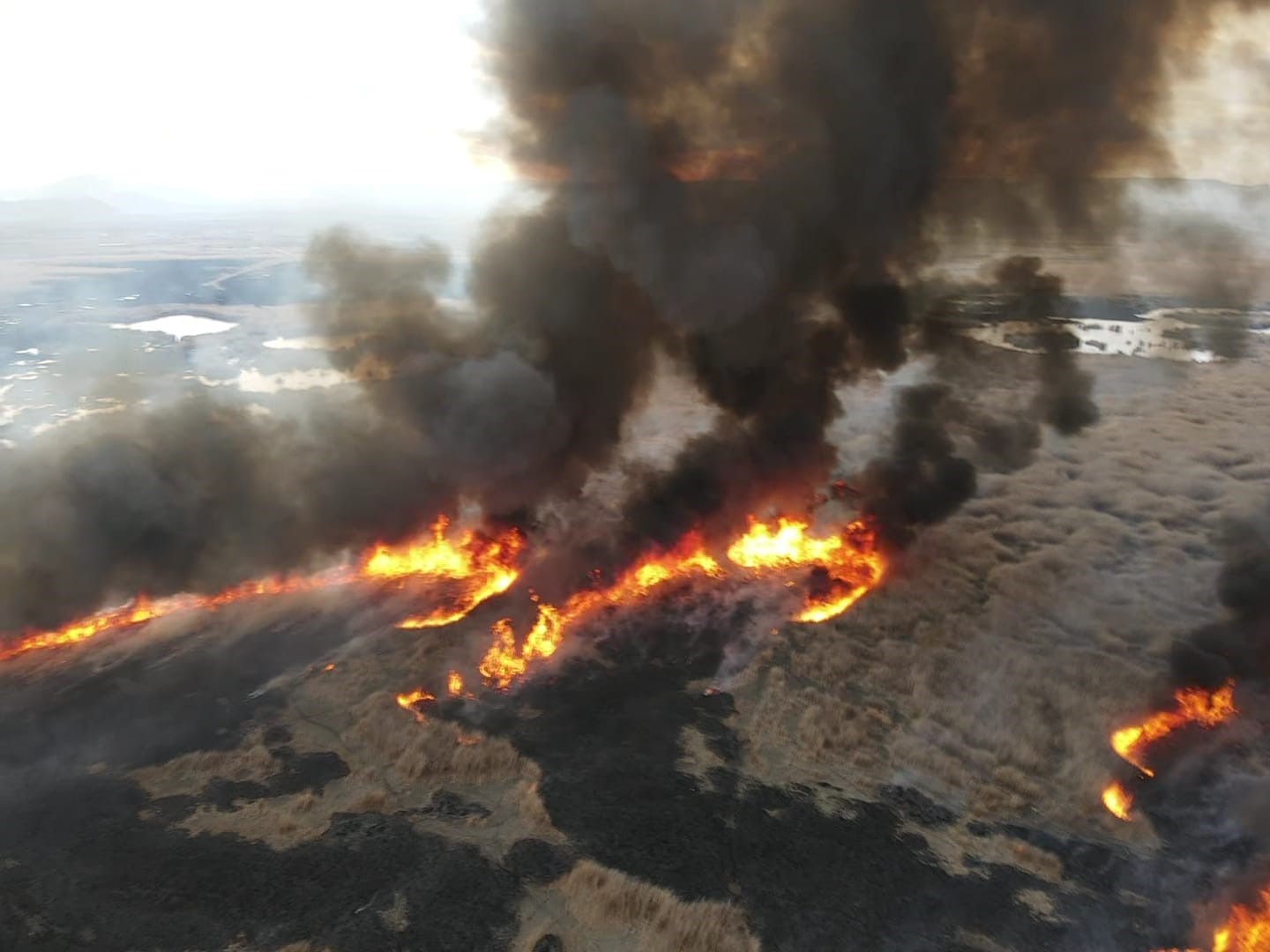 250&rsquo;den fazla kuşa ev sahipliği yapan Sultan Sazlığı&rsquo;nda yangın 