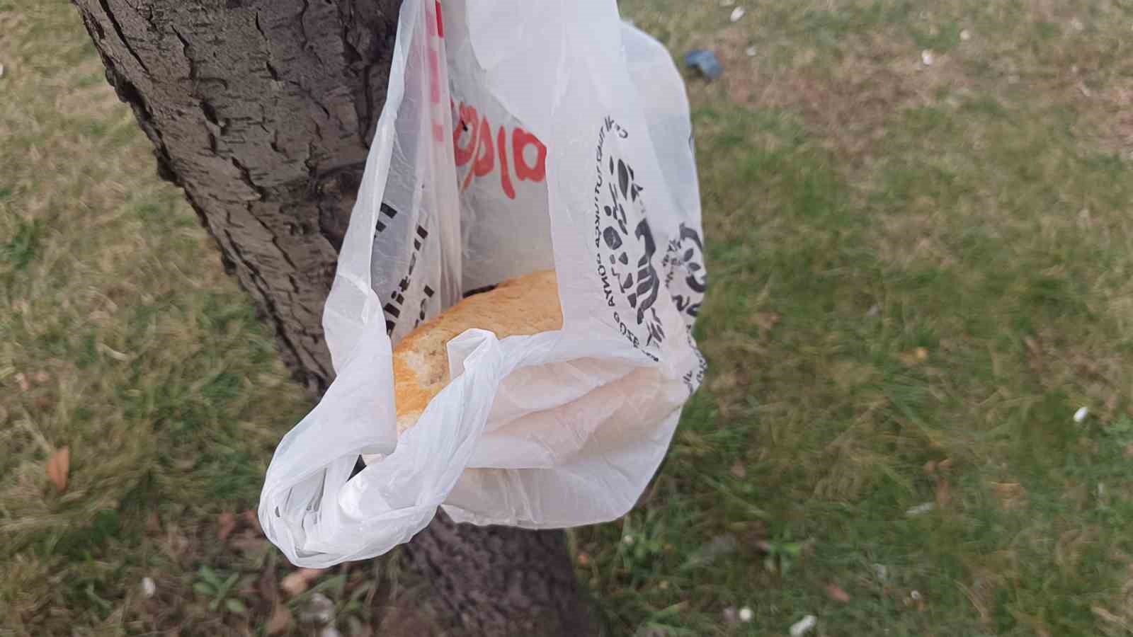 Ordu&rsquo;da trafik kazası: 3 yaralı
