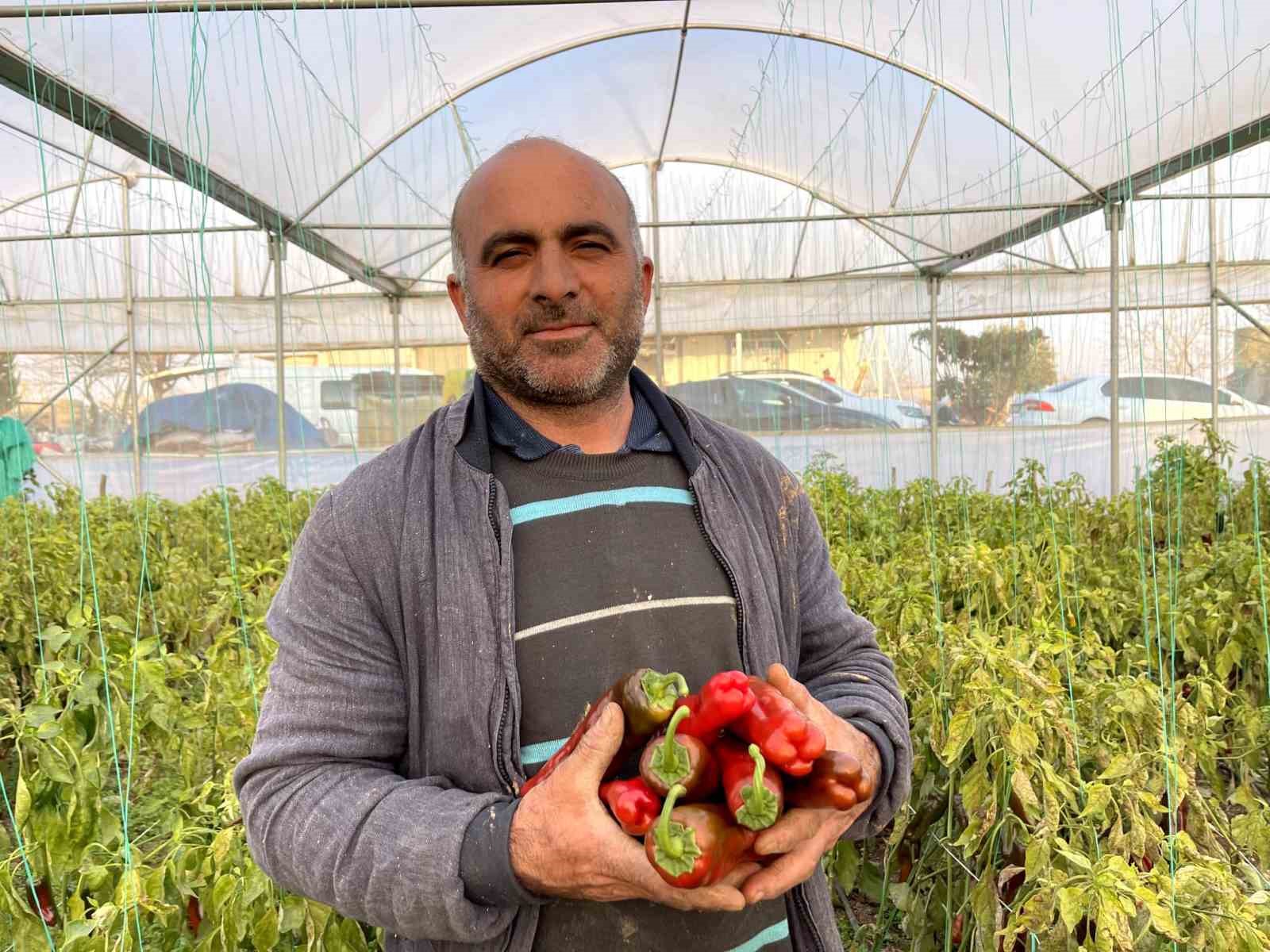 Şanlıurfa’da seracılık ile çiftçinin yüzü gülüyor