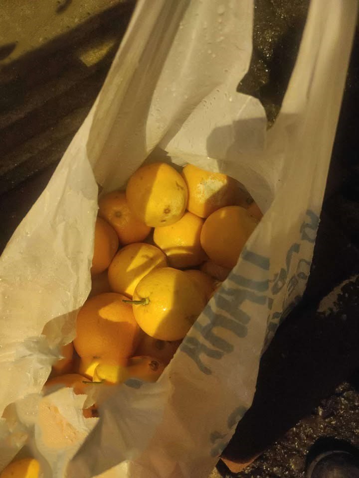 Ş&uuml;pheli poşetten portakal &ccedil;ıktı
