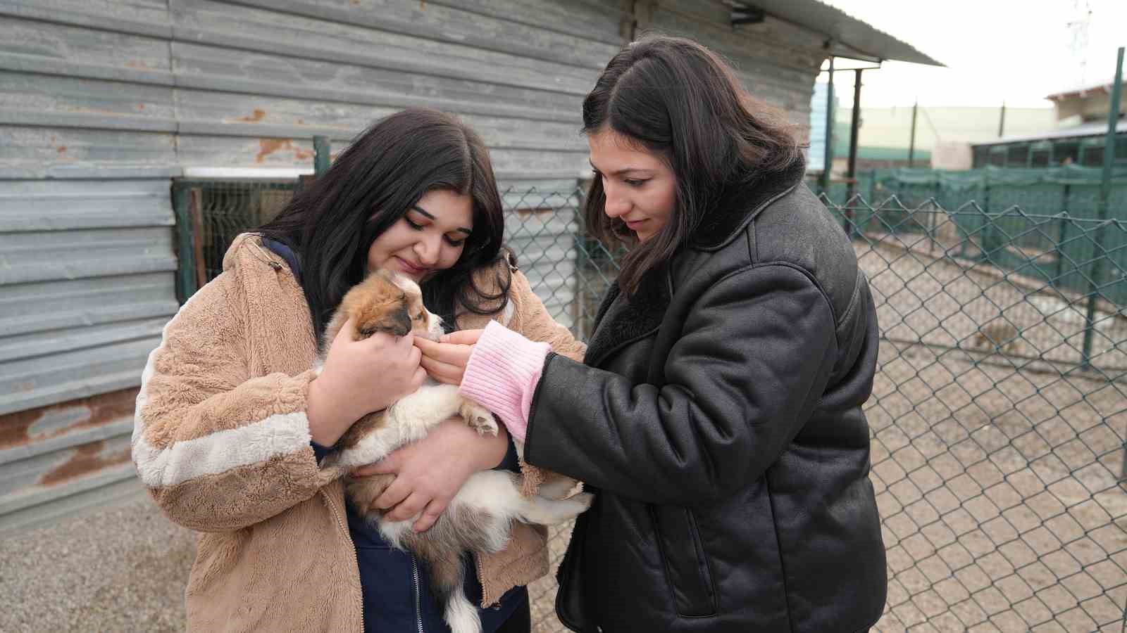 Keçiören Belediyesi Pati Yaşam Köyü’ndeki hayvanların ziyareti 4 güne çıktı