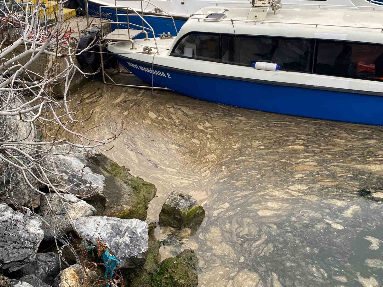 Kadıköy’de deniz yüzeyinde müsilaj tehdidi