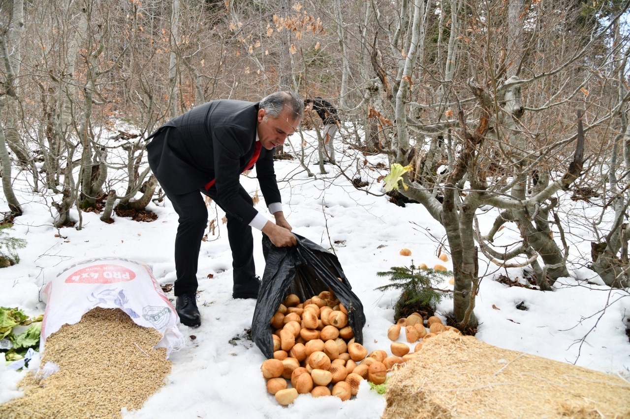 Amanos Dağları&rsquo;na yaban ve sokak hayvanları i&ccedil;in yem bırakıldı
