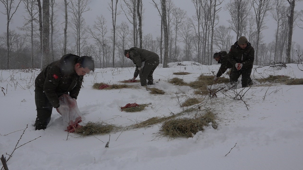 Kırklareli&rsquo;nde yaban hayvanları i&ccedil;in doğaya yem bırakıldı
