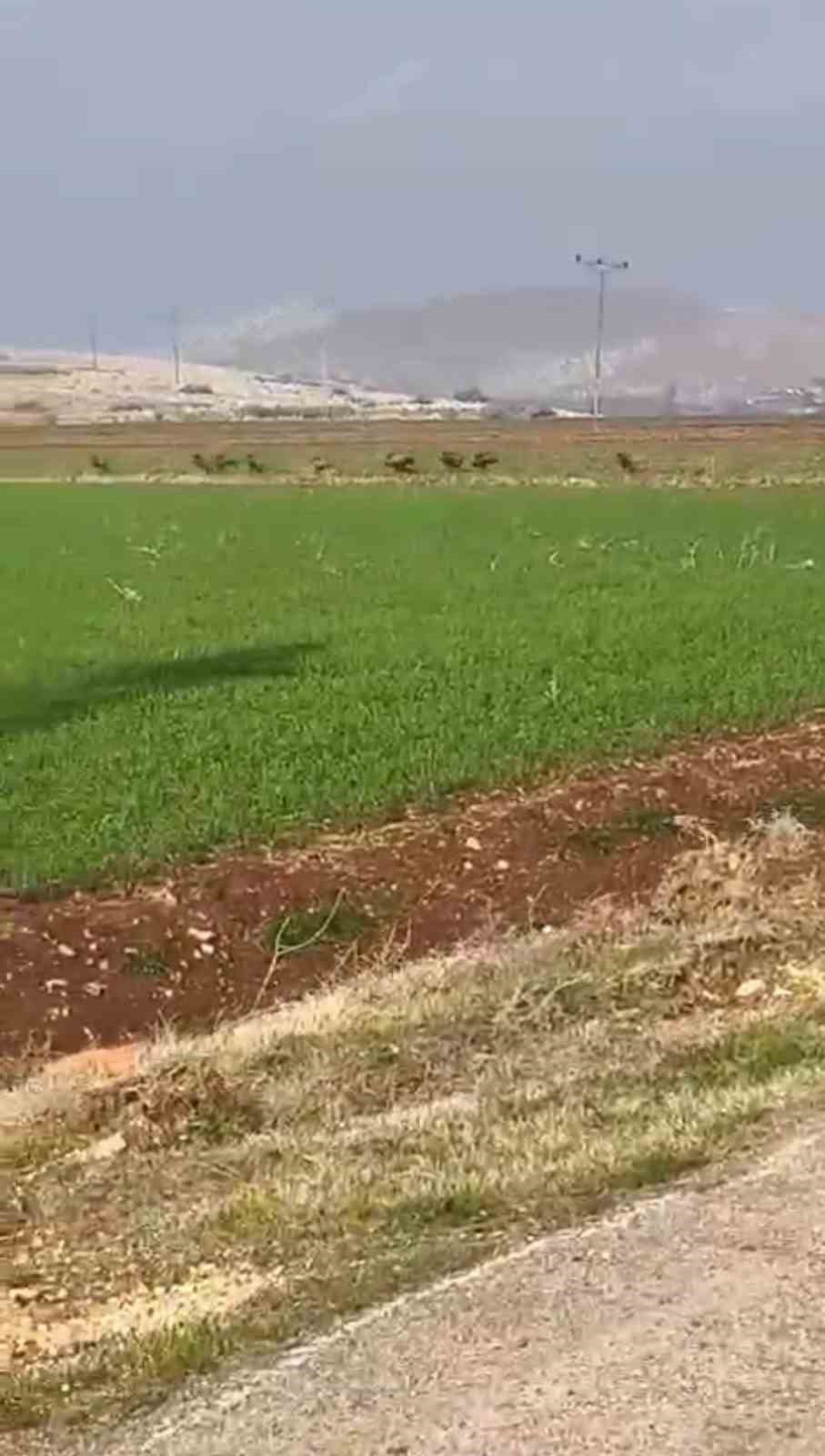 Acemi avcı domuz s&uuml;r&uuml;s&uuml;nde hedefi tutturamayınca arkadaşı dalga ge&ccedil;ti
