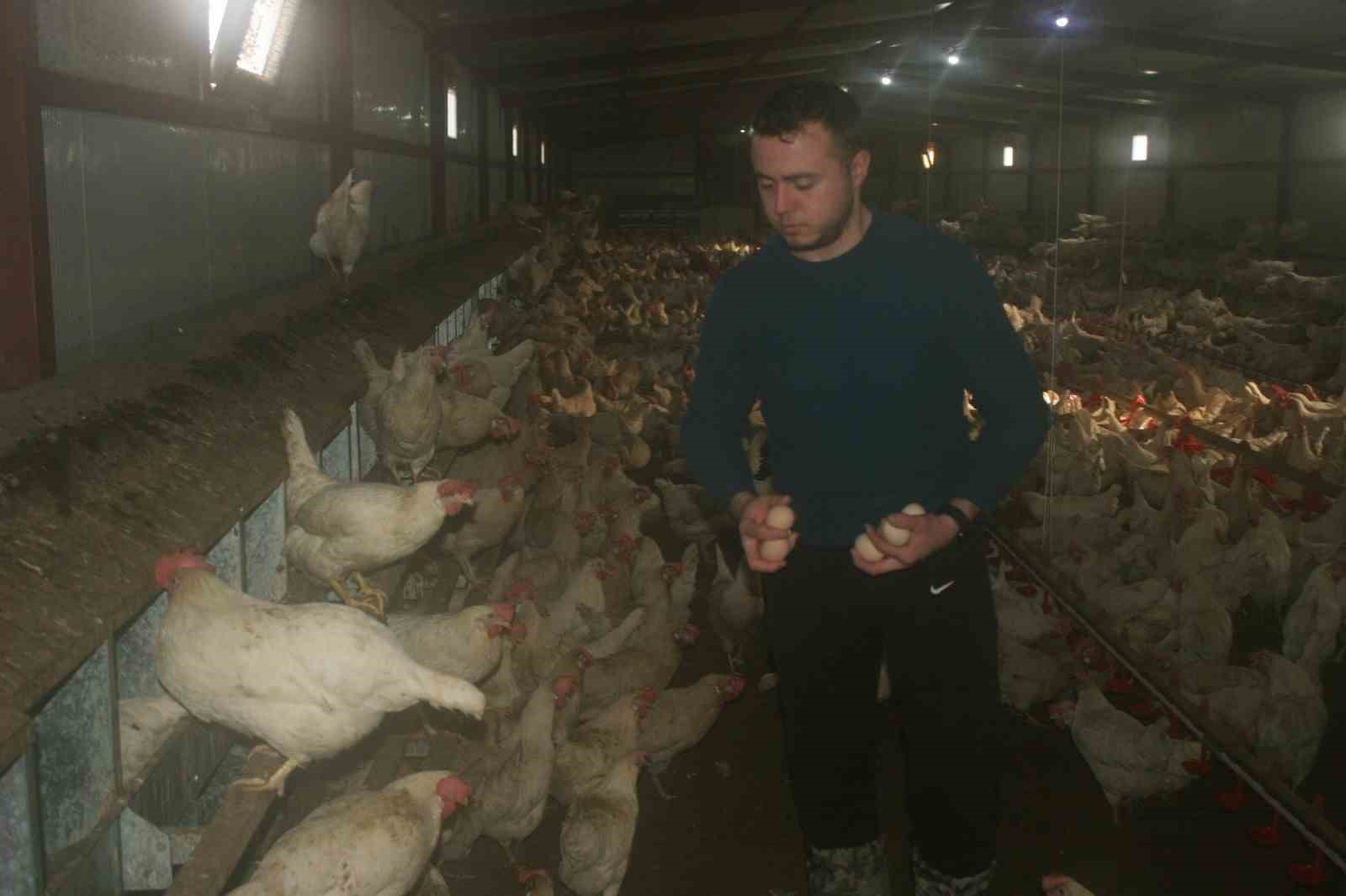 Bah&ccedil;esinde hobi olarak başladı, şimdi 3 bin adet tavuğu var
