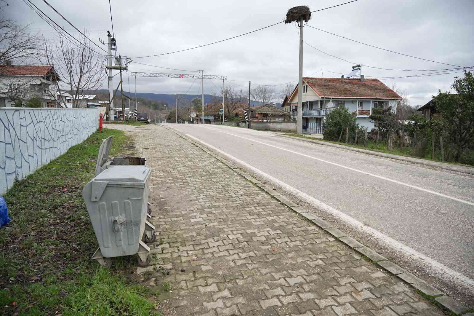 Ayı firarda...Milli parklar ve bölge sakinleri alarmda
