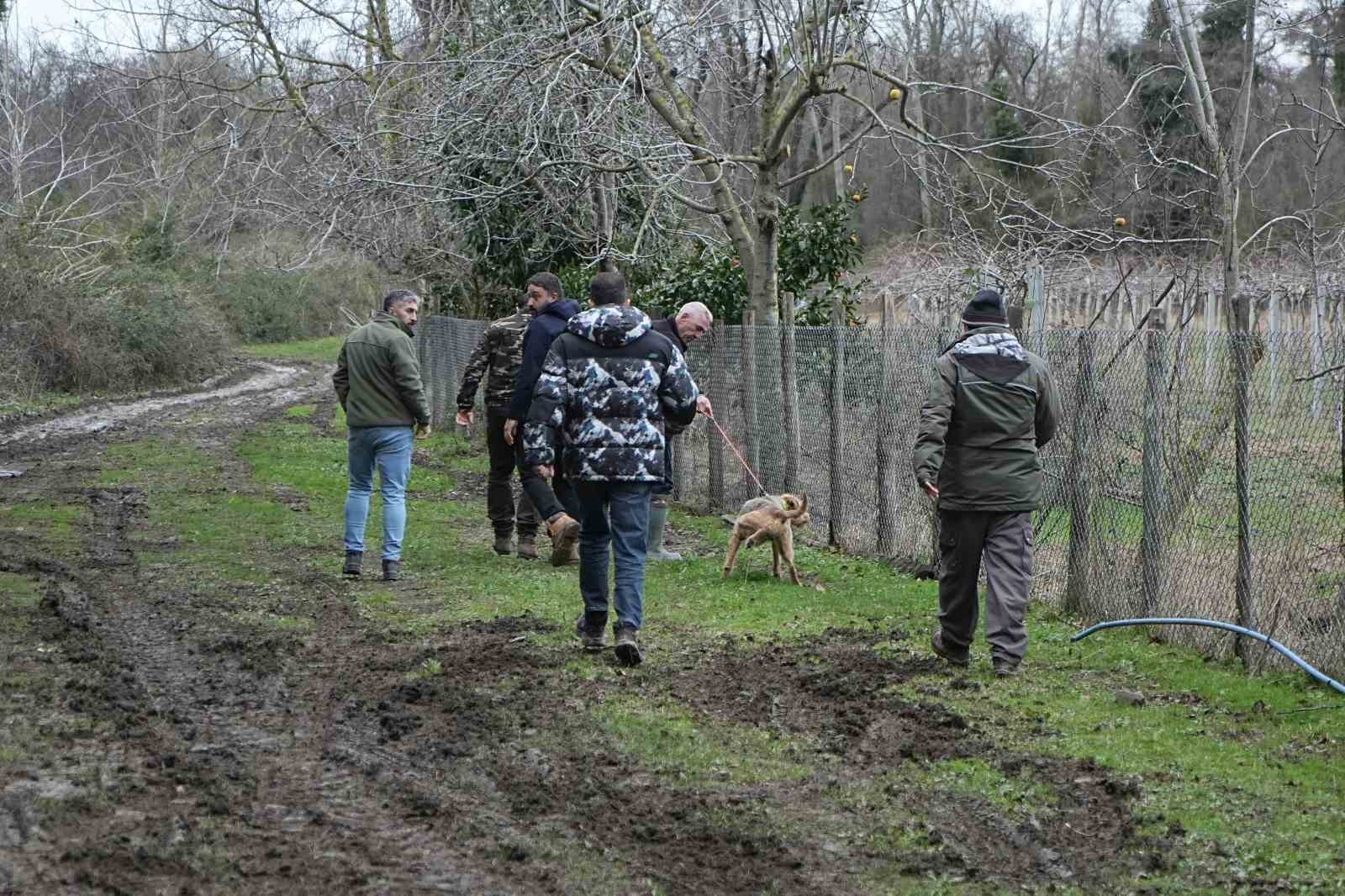 Firar eden ayı havadan ve karadan aranıyor
