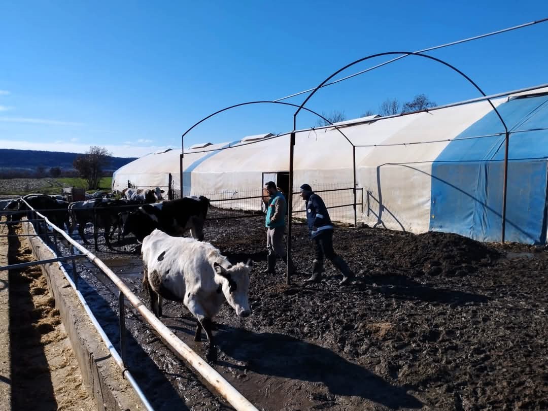 Kırklareli&rsquo;nde hayvancılık işletmeleri denetlendi
