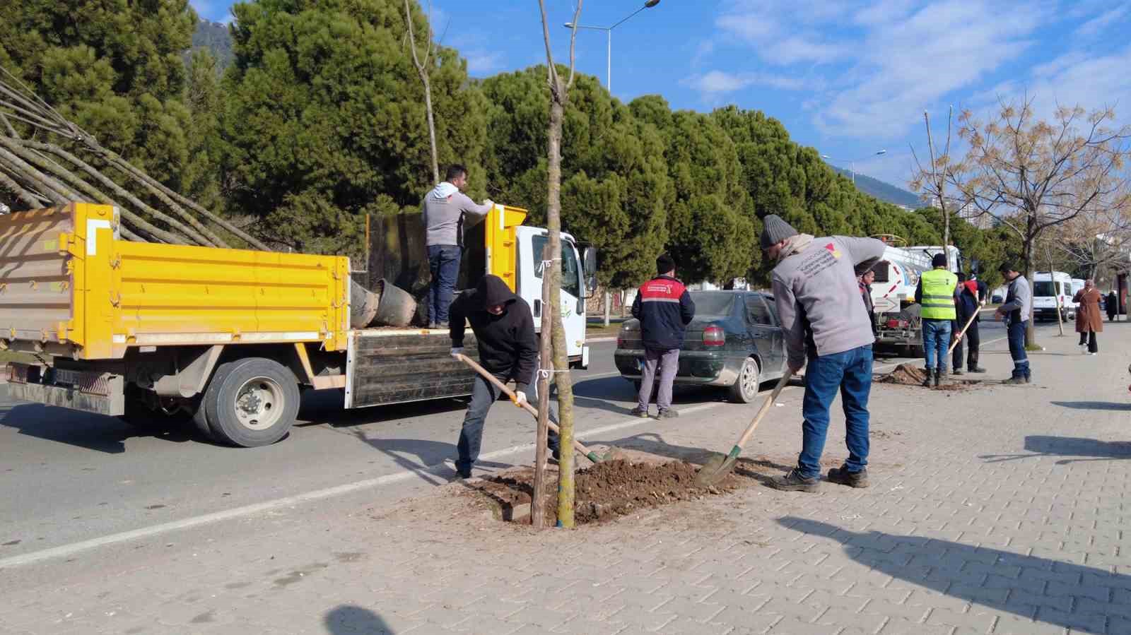 Kahramanmaraş’ta yeşil dönüşüm başladı
