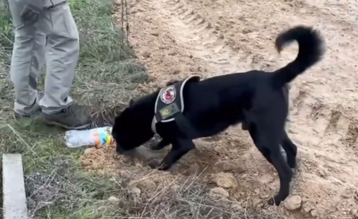 Kırklareli&rsquo;nde uyuşturucu operasyonu: 6 g&ouml;zaltı
